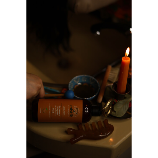 Mistik Terapi No:2 Hair Repair Shampoo