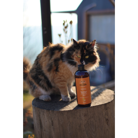 Mistik Terapi No:2 Hair Repair Shampoo